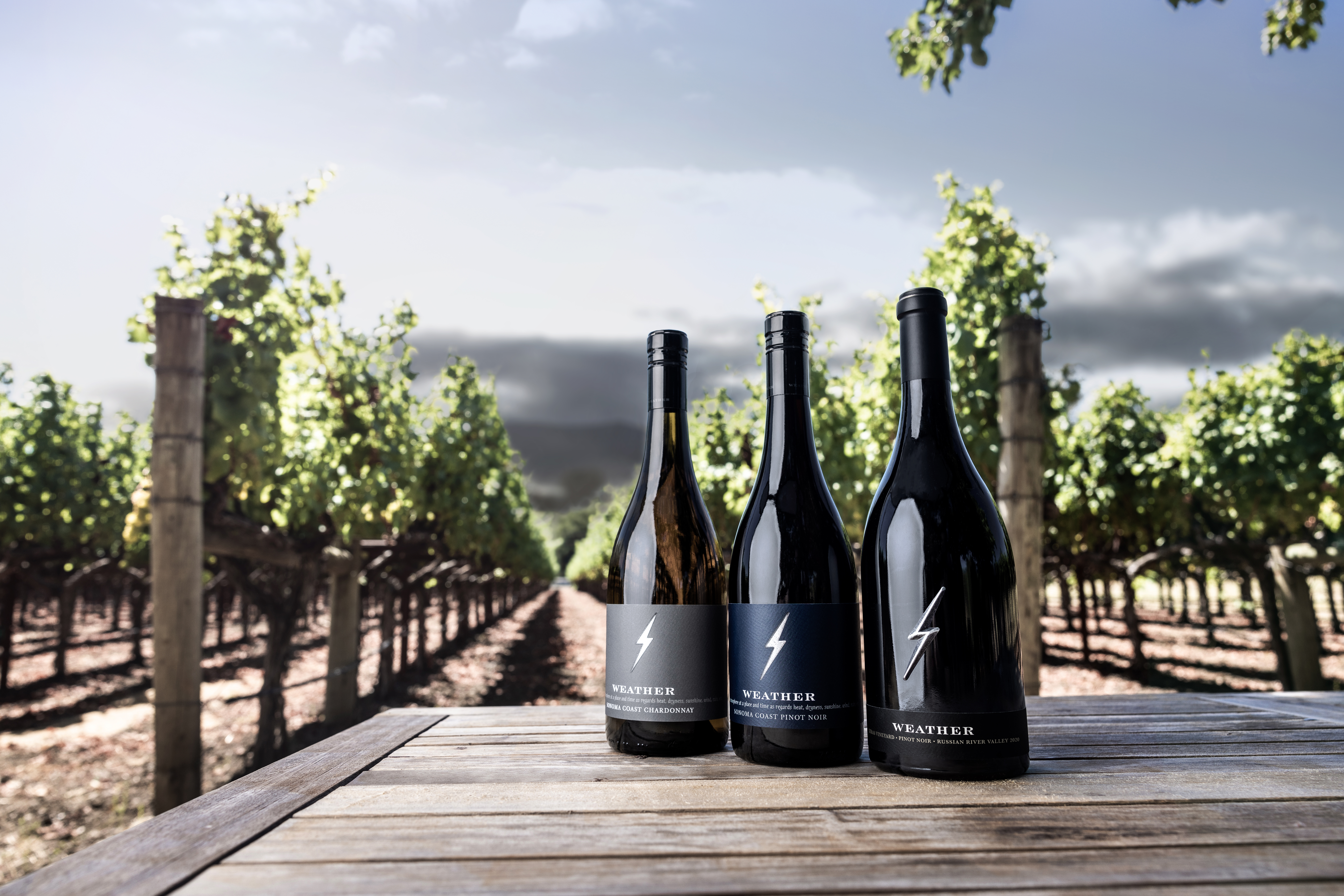 Weather Wines by John Anthony Family of Wines Expands Community Support in California